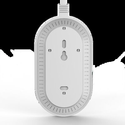 Smart Wifi Carbon Monoxide Detector EN50291 Certified Combustible Gas Detectors With Dual Sensor