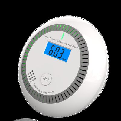 EN50291 Certified CO Carbon Monoxide Detector with 10 Year Lifespan and Electrochemical Sensor