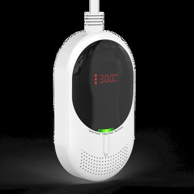 OEM Professional CO Detector SGS Tested Carbon Dioxide Alarms With Backup Battery And 5 Year Lifetime