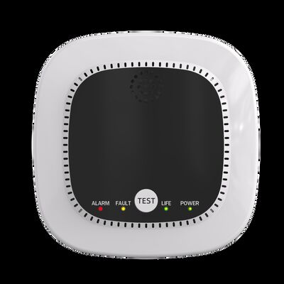 EN50194 Certified Methane Gas Detector Portable Propane Gas Detector Wall Mounted / Tabletop