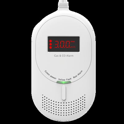 Industrial Grade Carbon Dioxide Alarm