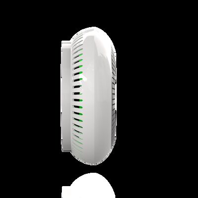 10-Year Lifespan Carbon Monoxide Detector with Electrochemical Sensor and 85dB Alarm Sound