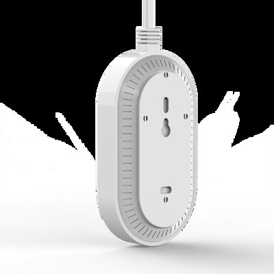 Smart Wifi Carbon Monoxide Detector EN50291 Certified Combustible Gas Detectors With Dual Sensor