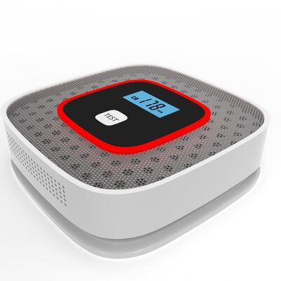 Voice Warning Professional Carbon Monoxide Detectors 4.5V Carbon Monoxide Detection System Customized