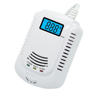 Residential Carbon Monoxide Gas Detectors Dual Sensor CO And Gas Alarm OEM