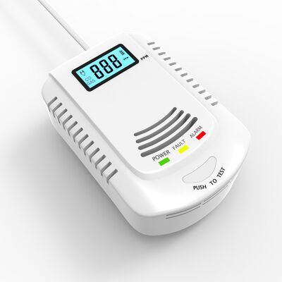 Dual Sensor Gas Carbon Monoxide Detectors Wall Mounted Gas And CO Detector