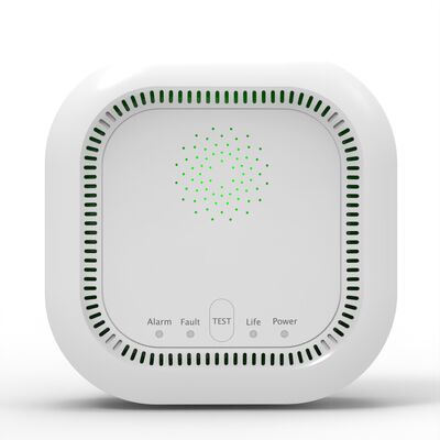 OEM Gas Leak Alarm EN50194 Battery Operated Gas Detector Professional With Dual Gas Detection